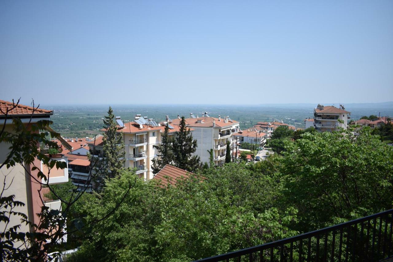 Small Apartment, Great View! Veria  Eksteriør billede